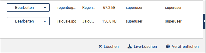 Asset veröffentlichen