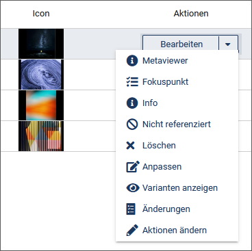 Asset-Details