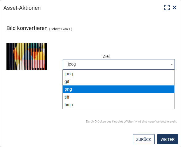 Bestimmung des Bildformats