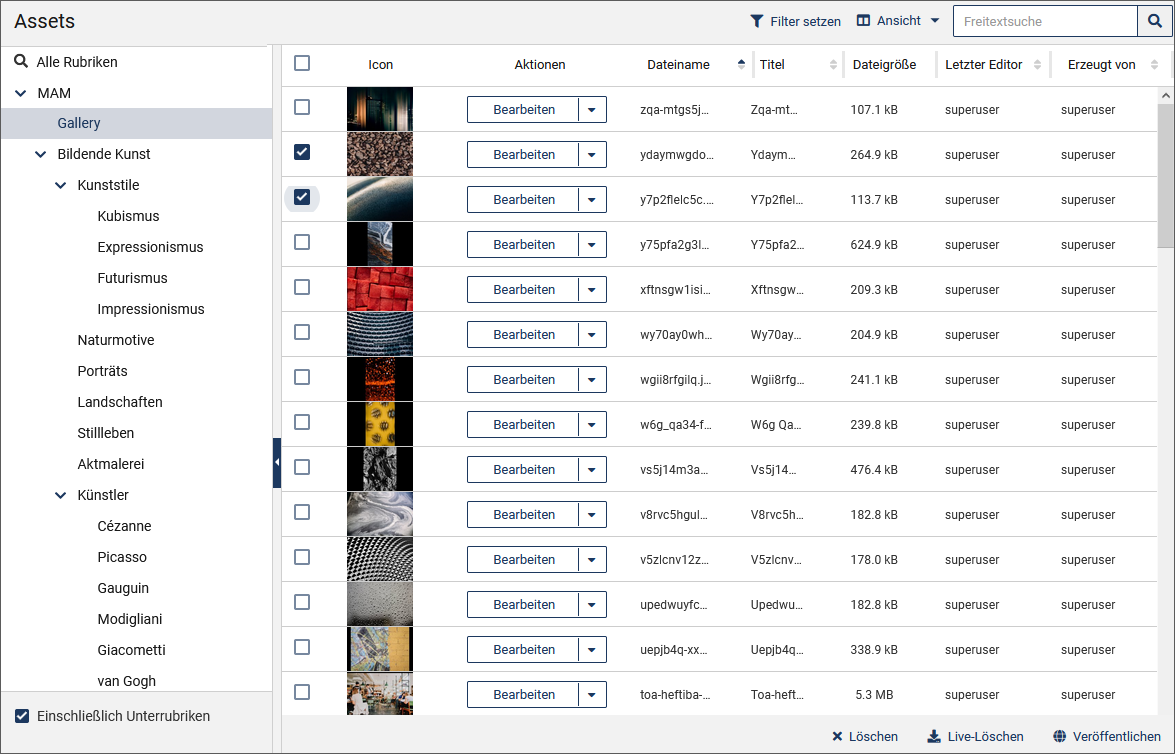 Das Media-Asset-Management in der Listenansicht