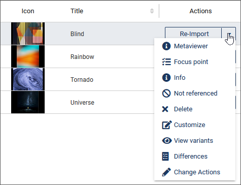 Context menu asset