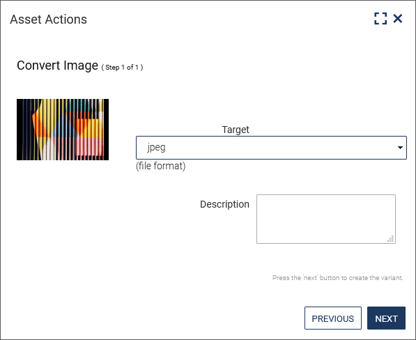 Setting the image format