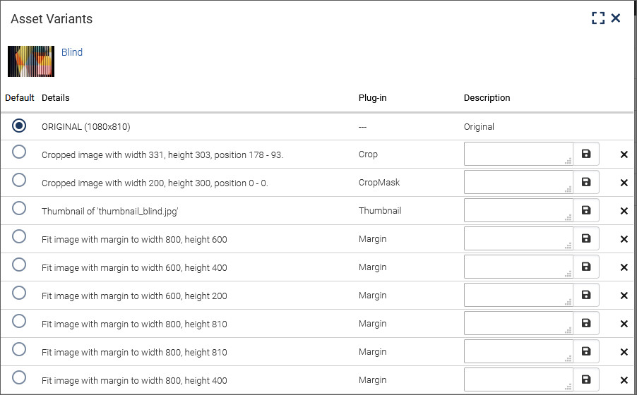 The Asset Variants dialog